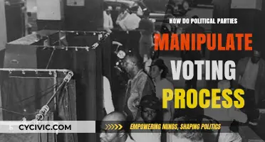 How Political Parties Manipulate Voting Processes: Tactics and Strategies