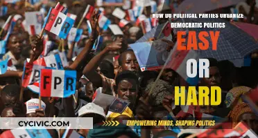 Organizing Democracy: The Complex Role of Political Parties Explained