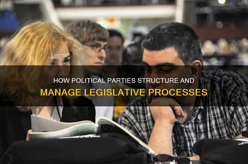 how do political parties organize the legislative process