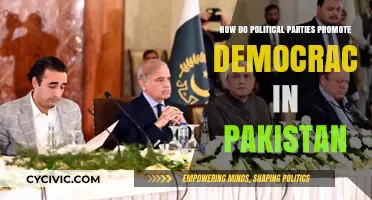 Strengthening Democracy: Political Parties' Role in Pakistan's Democratic Process