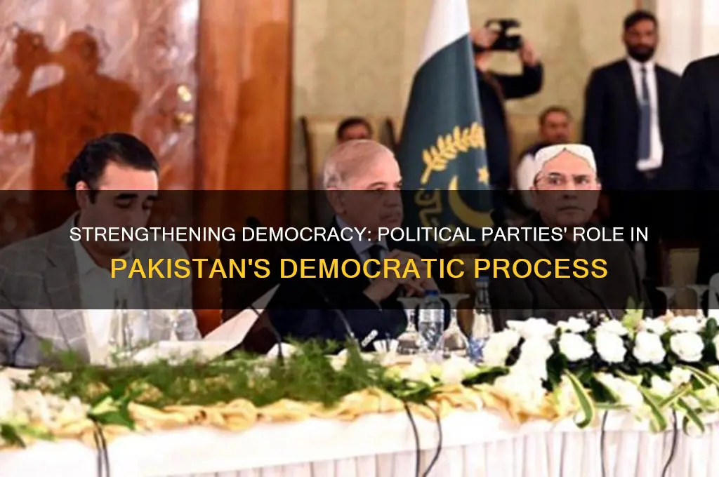 how do political parties promote democracy in pakistan