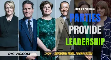 How Political Parties Shape National Leadership and Policy Direction