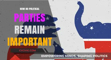 Why Political Parties Still Matter in Modern Democracy and Governance