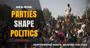 How Political Parties Mold Policies, Power, and Public Opinion