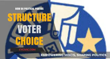 How Political Parties Shape and Structure Voter Choice Dynamics
