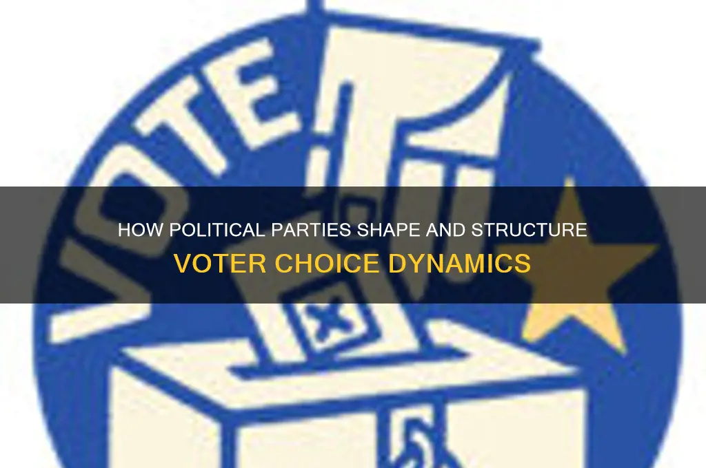 how do political parties structure voter choice