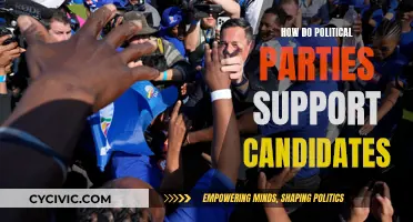 Political Parties: Supporting Candidates to Victory