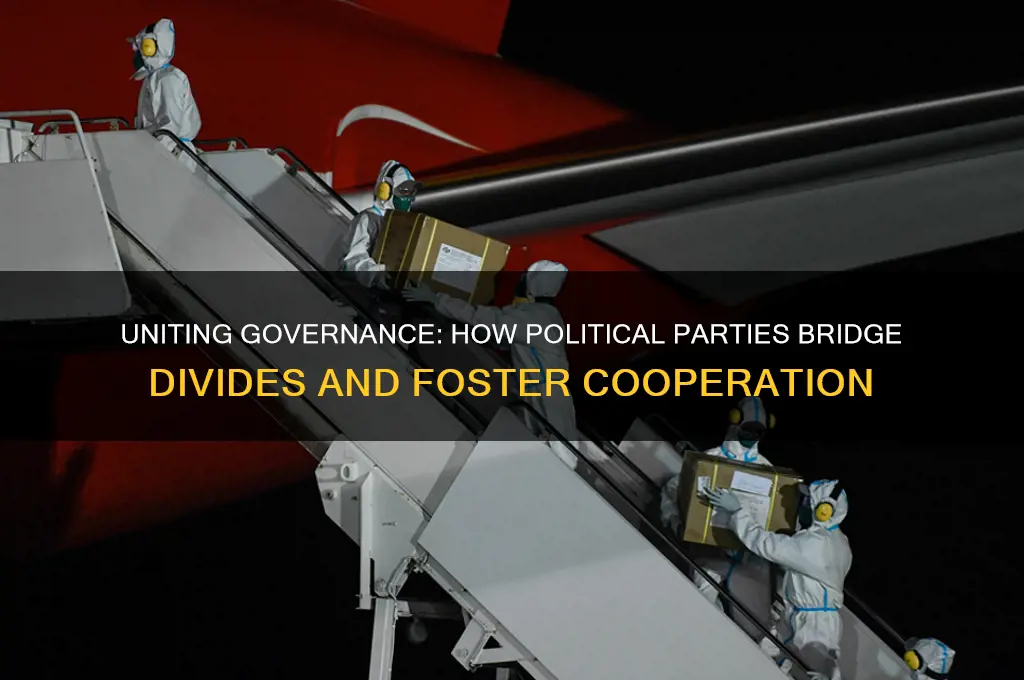 how do political parties unite government