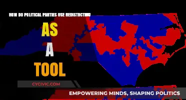 Redistricting Power Play: How Political Parties Shape Electoral Maps