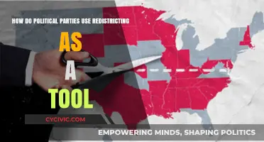 Redistricting Strategies: How Political Parties Shape Electoral Power