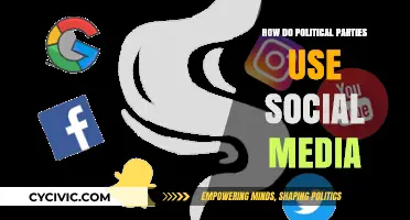 Social Media Strategies: How Political Parties Shape Public Opinion Online