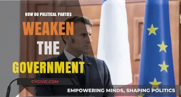 How Political Parties Undermine Governance and Weaken Government Effectiveness