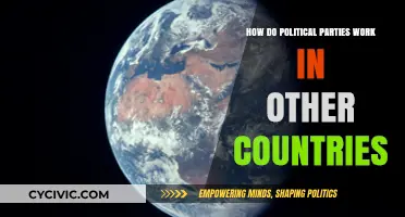 Exploring Global Political Systems: How Parties Operate Across Borders