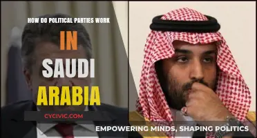 Understanding Saudi Arabia's Political System: Parties, Power, and Governance