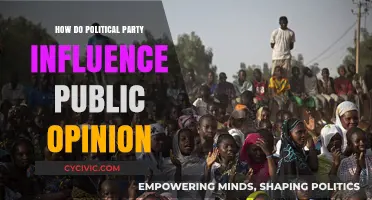 How Political Parties Shape Public Opinion: Strategies and Impact