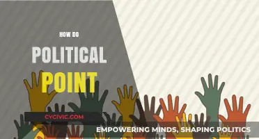 Understanding Political Point Systems: Strategies, Impact, and Voter Influence