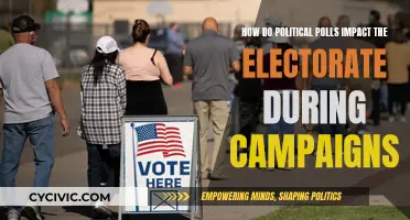 Political Polls: Influencing Elector Choices During Campaigns