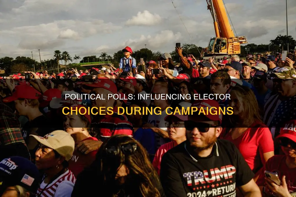 how do political polls impact the electorate during campaigns