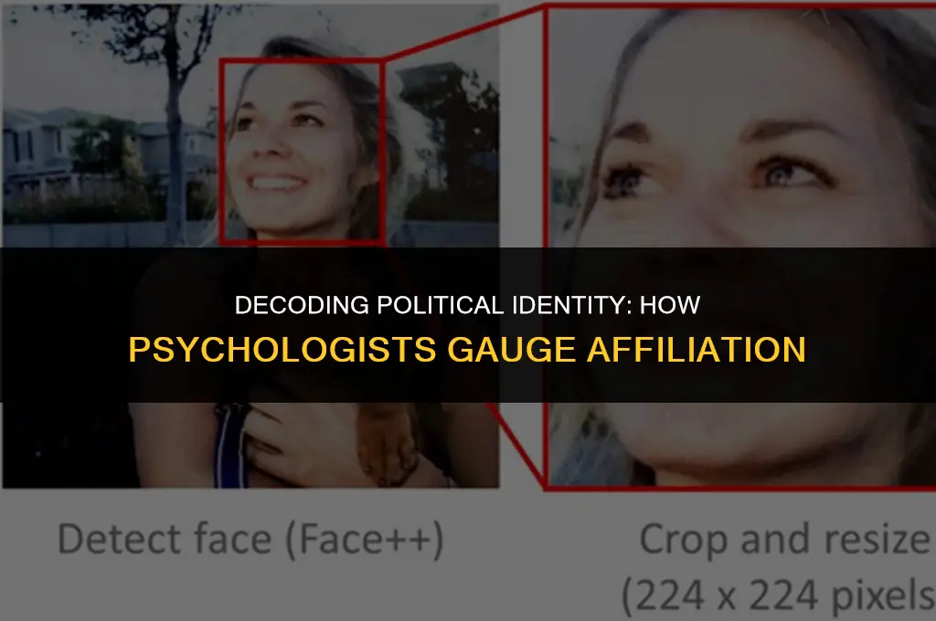 how do political psychologists measure political affiliation