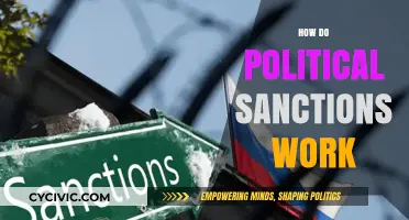 Understanding Political Sanctions: Mechanisms, Impact, and Global Consequences Explained