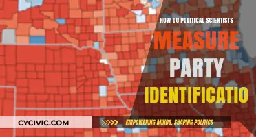 Measuring Party Identification: Methods and Insights in Political Science