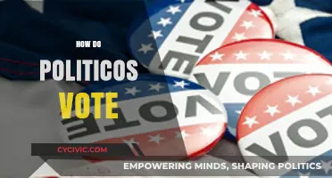 How Do Politicians Vote? Uncovering Strategies Behind Their Ballot Decisions