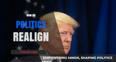 How Political Realignments Reshape Nations and Redefine Power Dynamics