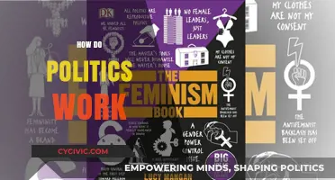 Understanding the Complex World of Politics: A Beginner's Guide