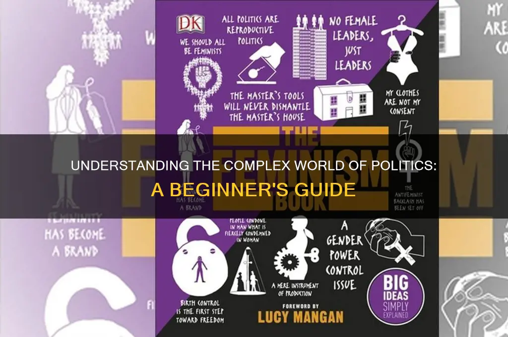 how do politics work