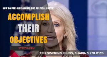 Strategies of Influence: How Pressure Groups and Political Parties Achieve Goals