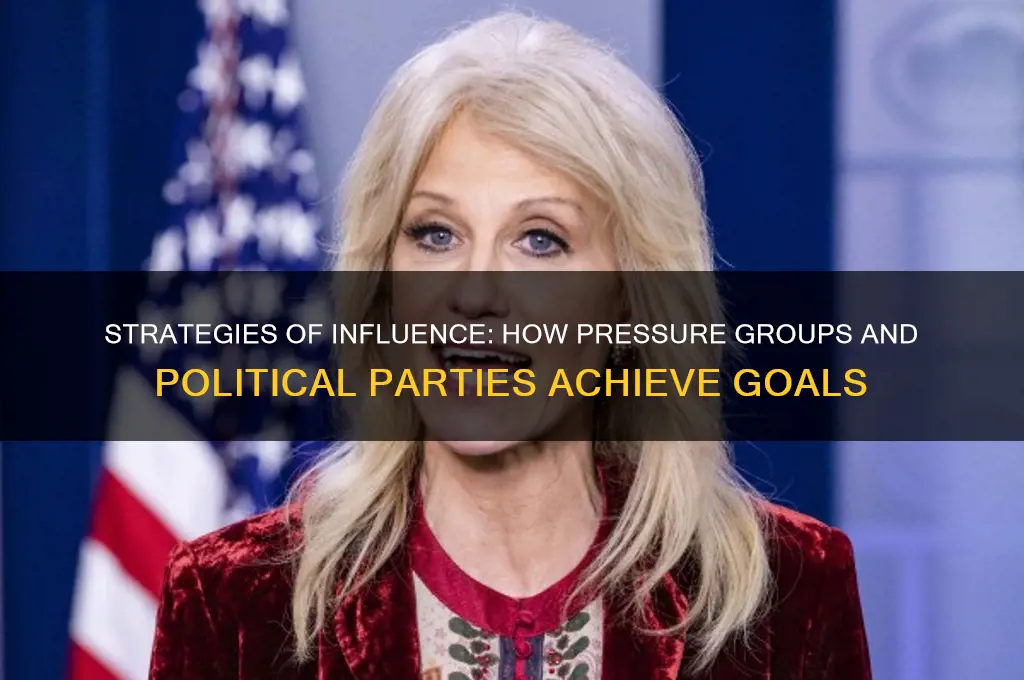 how do pressure groups and political parties accomplish their objectives