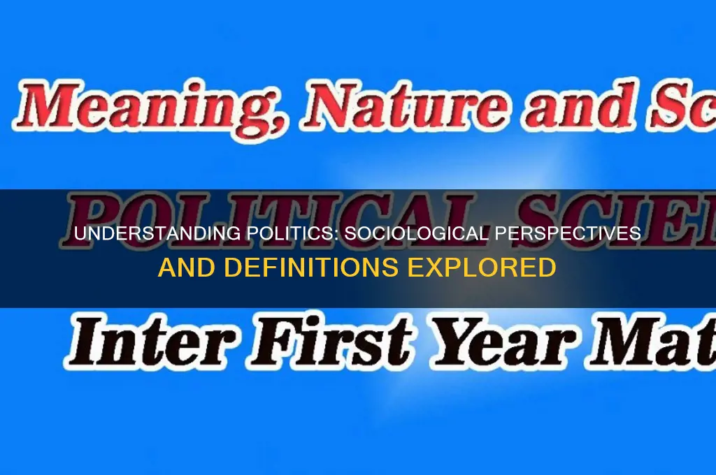 how do sociologists define politics