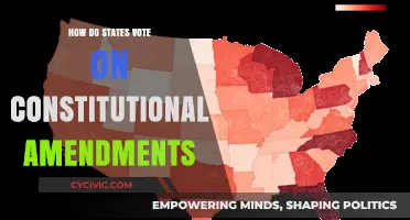 State Voting Power: Constitutional Amendments