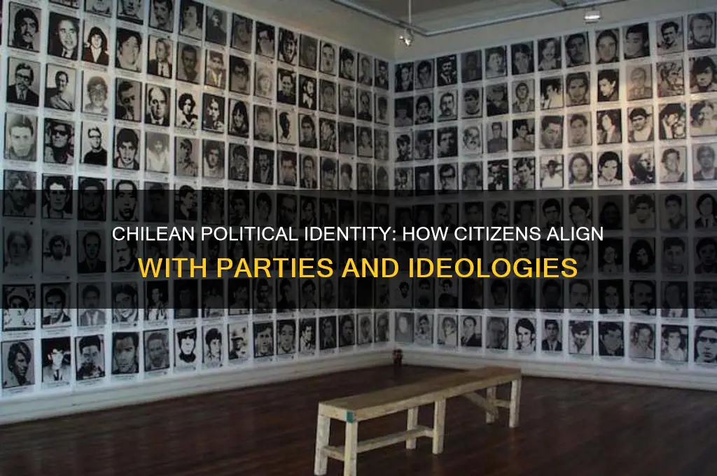 how do the citizens of chile identify with political parties