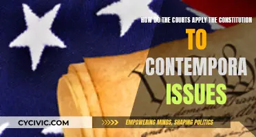 The Constitution and Contemporary Issues: Court's Role