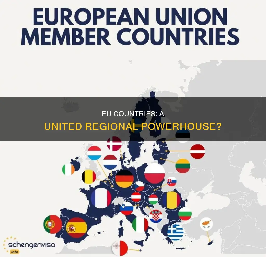 how do the european union countries constitute a region