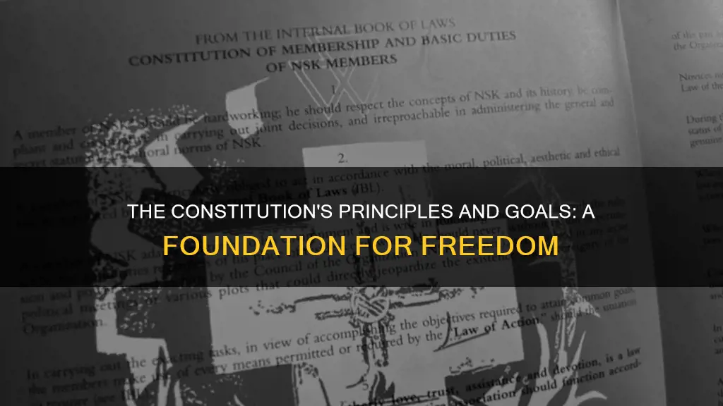 how do the goals and principles of the constitution