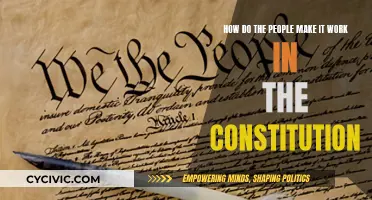 Making the Constitution Work for the People