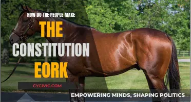 The Constitution: Making It Work for the People