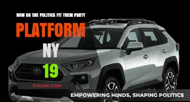 NY-19 Politics: Aligning Party Platforms with Campaign Promises in 2019