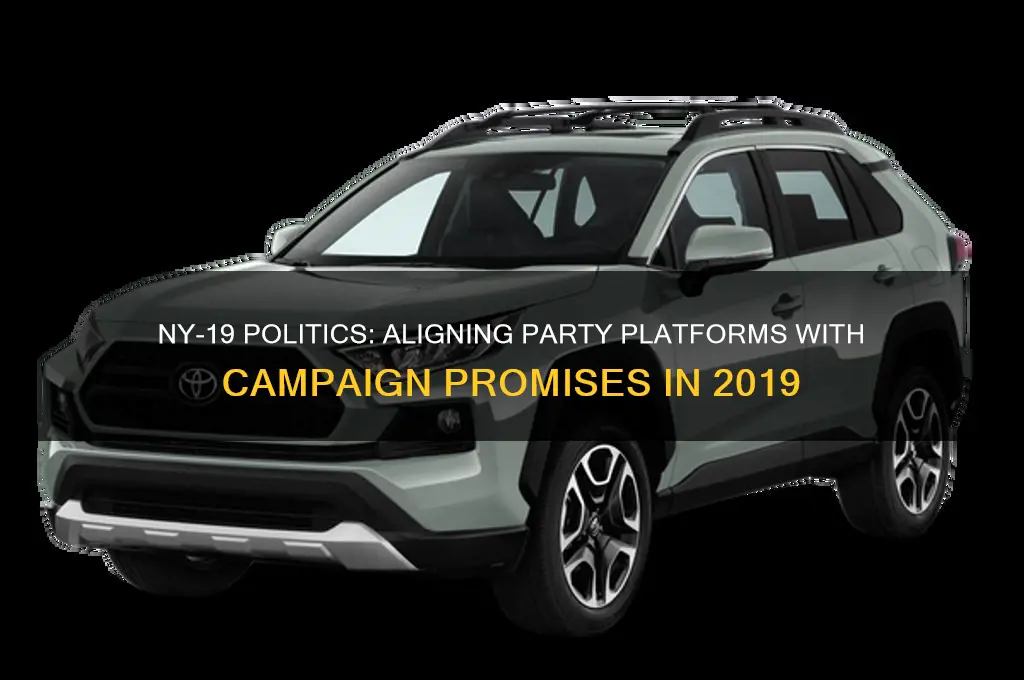 how do the politics fit their party platform ny 19