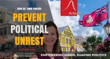 Third Parties: Stabilizing Forces Against Political Unrest and Division