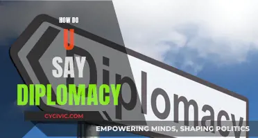 Mastering the Art of Diplomatic Speech and Influence