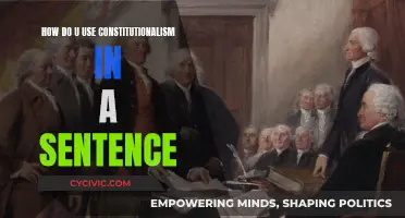 Constitutionalism: A Practical Guide to Using It in a Sentence