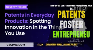 Patents and Entrepreneurship: US Constitution's Power