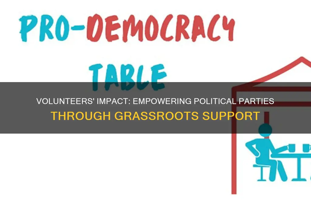 how do volunteers help political parties