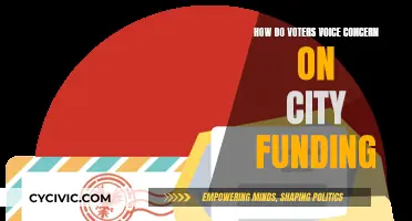 Voters' Concerns: City Funding and the Voice of the People