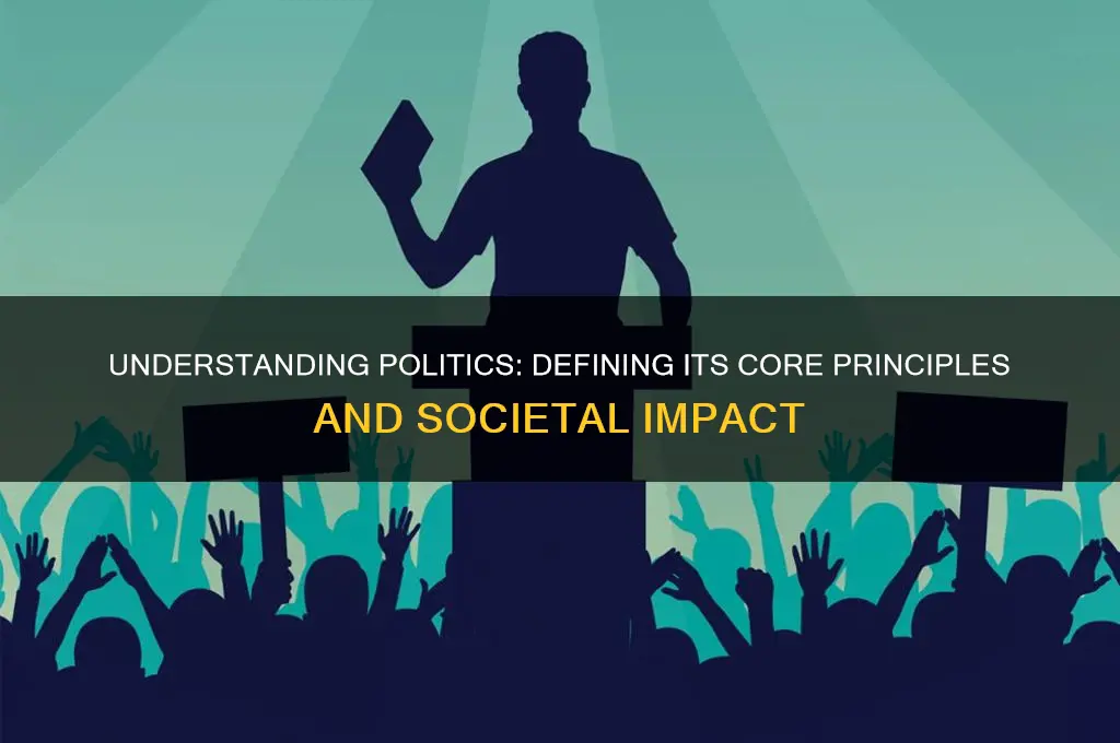 how do we define politics