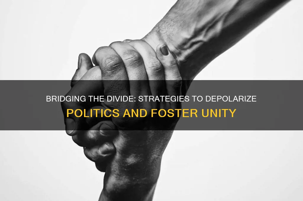 how do we depolarize politics