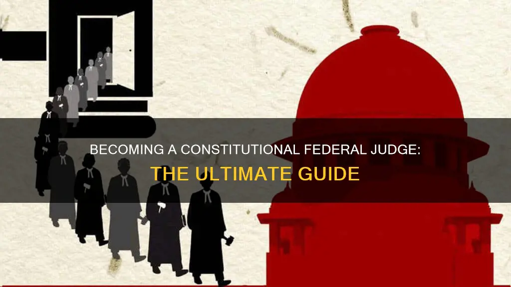 how do we get a constitutional federal judge
